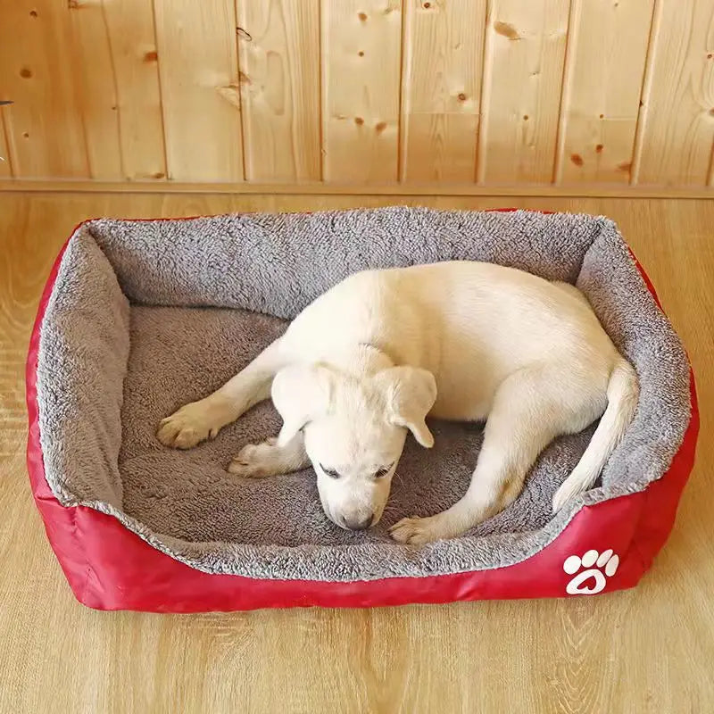 Karoly Matty™ Dream Palette Orthopedic Pet Bed - Ultra-Soft & Breathable Colorful Comfort Mattress for Dogs & Cats