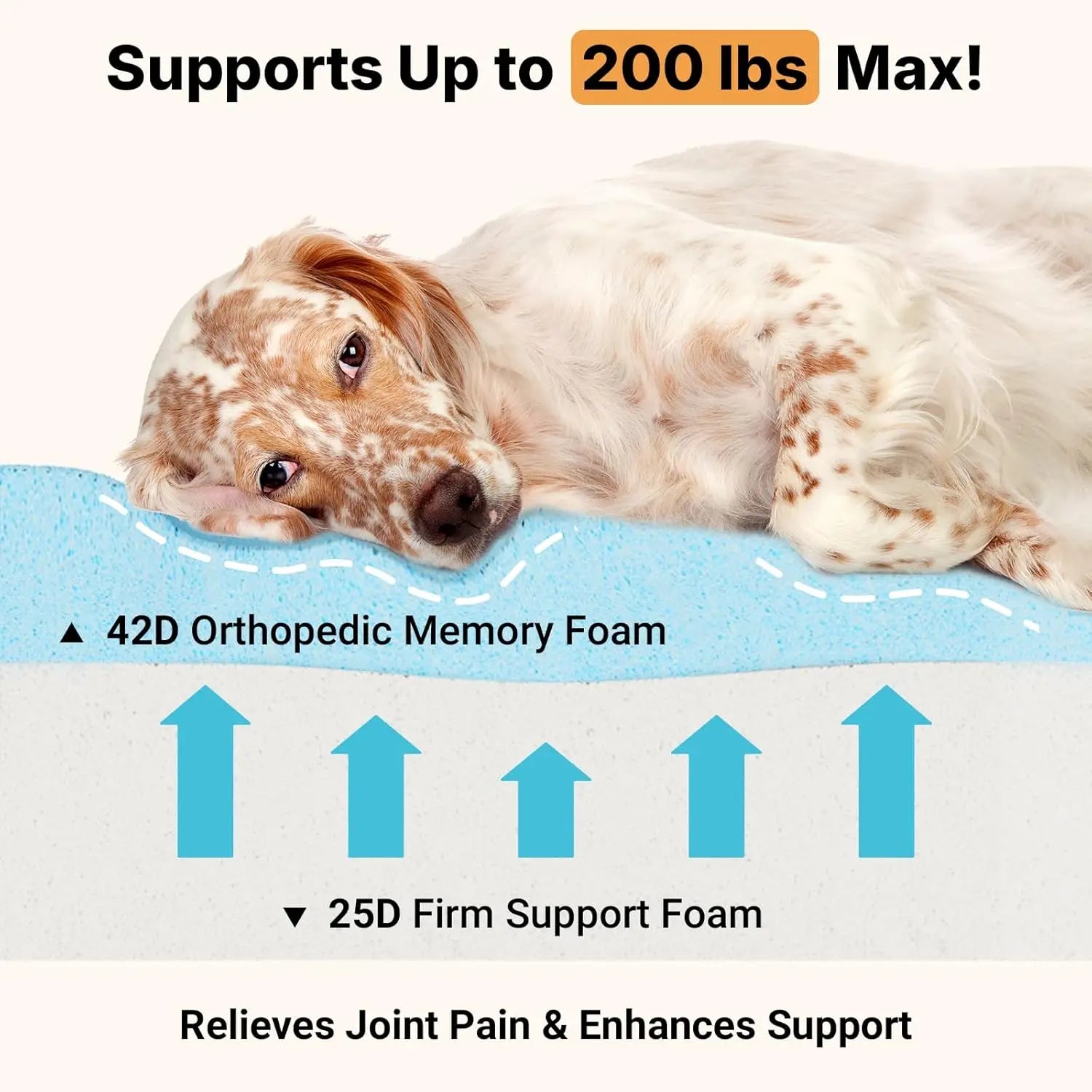 Karoly Matty™ EliteCare 7-Inch Orthopedic Memory Foam Throne - XXL Waterproof Therapeutic Dog Bed with Removable Washable Cover